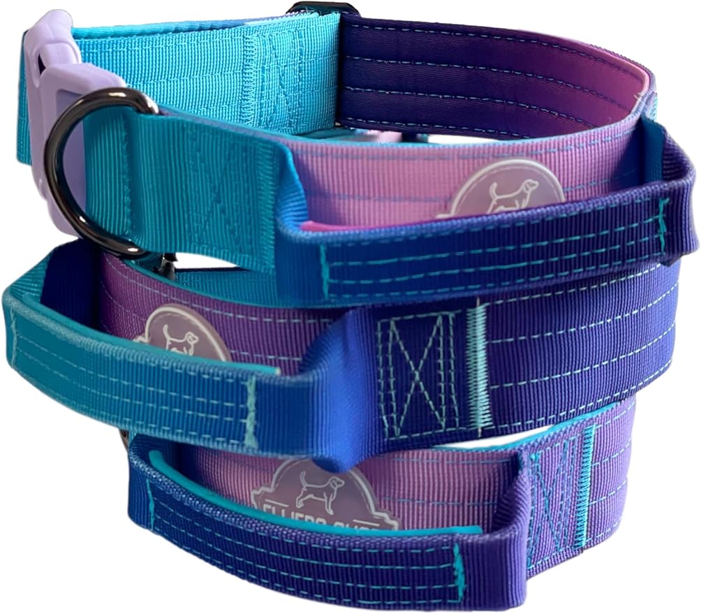 Tactical Dog Collar with Control Handle - Adjustable, Heavy Duty, Training and Walking for Medium and Large Breeds (M), Purple Blue gradient