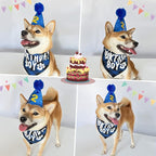 LESYPET Dog Birthday Party Supplies, Dog Birthday Hat with Bandana, and Banner, Cat Decorations Set for Party, Blue