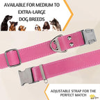 ADITYNA Pink Leather Dog Collar with Metal Buckle - Heavy-Duty, Adjustable for Medium & Large Girl Dogs (Pink, Fits 15-21" Necks)