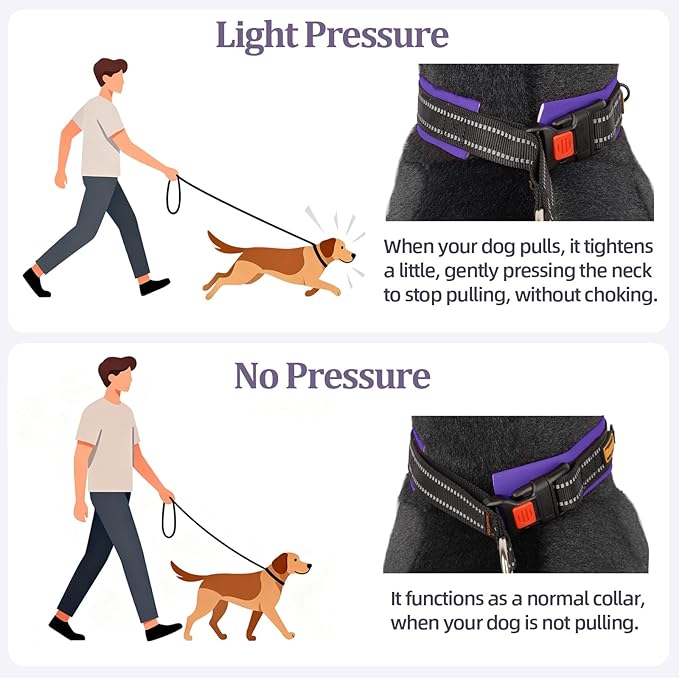 Mayerzon 1.5" Wide Martingale Collar for Large Medium Small Dogs Pitbull German Shepherd, No Pull Reflective Slip Martingale Dog Collar with Buckle Soft Padded for Walking Training(Purple,S)