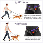 Mayerzon 1.5" Wide Martingale Collar for Large Medium Small Dogs Pitbull German Shepherd, No Pull Reflective Slip Martingale Dog Collar with Buckle Soft Padded for Walking Training(Purple,XXL)