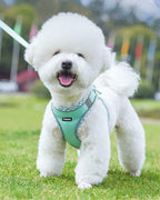 Petank Dog Harness for Small Medium Dogs No Pull, Puppy Harness and Leash Set, Step in Dog Harness for Walking, Running, Training, Small Dog Vest, Medium Dog Vest (Green, M)