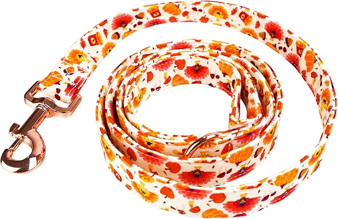 Tunkoo Dog Leash Pumpkin and Turkey Pattern - Durable, Stylish Thanksgiving Pet Leash, Available in Small, Medium and Large, Daily Walking Puppy Leash, S