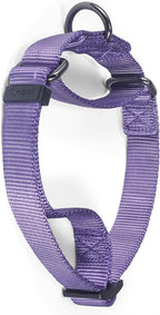 Premium Nylon Adjustable Escape-Proof Dog Collar,Soft and Silky Collar with Heavy Duty D-Ring for Medium Active Dogs Jogging,Training,etc... (Ultra Violet, Medium)