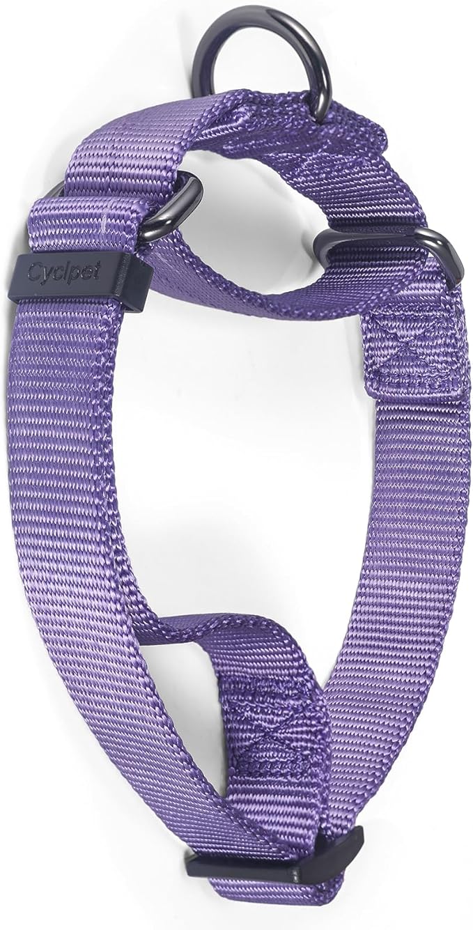 Premium Nylon Adjustable Escape-Proof Dog Collar,Soft and Silky Collar with Heavy Duty D-Ring for Medium Active Dogs Jogging,Training,etc... (Ultra Violet, Medium)