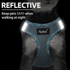 PUPTECK Dog Harness and Leash Set for Small Medium Dogs No Pull Step-in Soft Mesh Puppy Cat Vest Harnesses Reflective at Night, Sky Blue, M