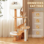 Erinnyees 51" Football Cat Tree Tower for Indoor Cats, Game Day Sports Themed Cat Condo with Sisal Scratching Posts & Hammock, Unique Pet Furniture Gifts for Fans