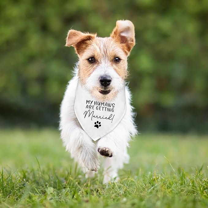 Dog Wedding Engagement Bandana Apparel & Accessories My Humans are Getting Married! Pet Dog Bandana Scarf Wedding Photo Prop Outfit Funny Engagement Party Decorations Gifts