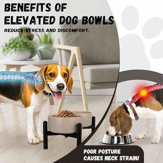 Raised Ceramic Dog Bowl Set - Elevated Double Dishes with Stainless Steel Stand - Food and Water Bowls for Small to Medium Dogs - Each Holds 2 Cups (28.75 fl oz) - Green