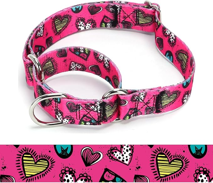 Martingale Dog Collars - Flower Multicolor Cute Patterns, Adjustable Nylon Training Dog Collar Suitable for Boy and Girl Dogs Medium Large Dogs (5, L)