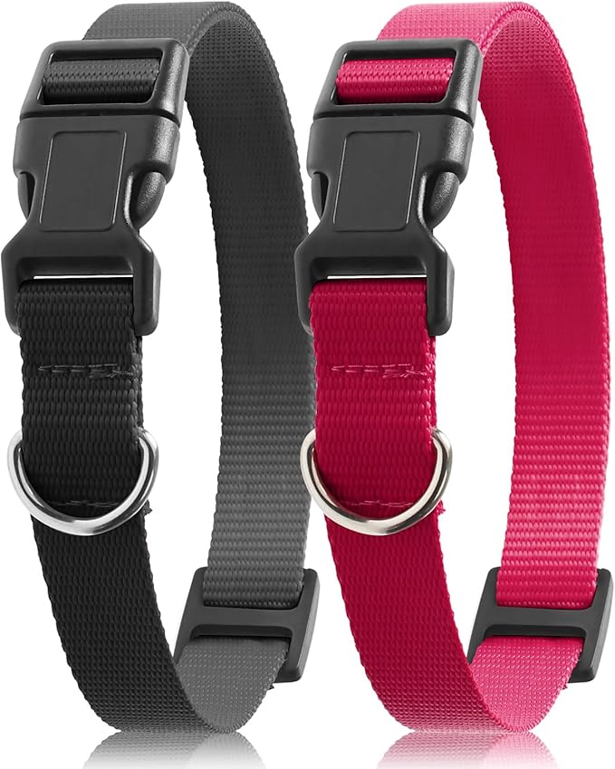 PetJoy Shock Collar Replacement Strap, Dog Replacement Collar with D-Ring, 2 Pack Adjustable Nylon Dog Collar Strap, Pet Safe & Durable for Training Collars