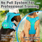 BARKBAY Dog Harness No Pull Oxford with ID Tag Pocket - Heavy Duty, Reflective, Easy Control for Large Dogs(Aqua Oxford,XL)