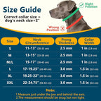 Crazy Felix No Pull Martingale Collar for Large Medium Small Dog Pitbull German Shepherd Doberman, Dog Collar Anti Pull with Buckle for Training Walking (Black, L-Neck 17-19.25", 1.5" Wide)