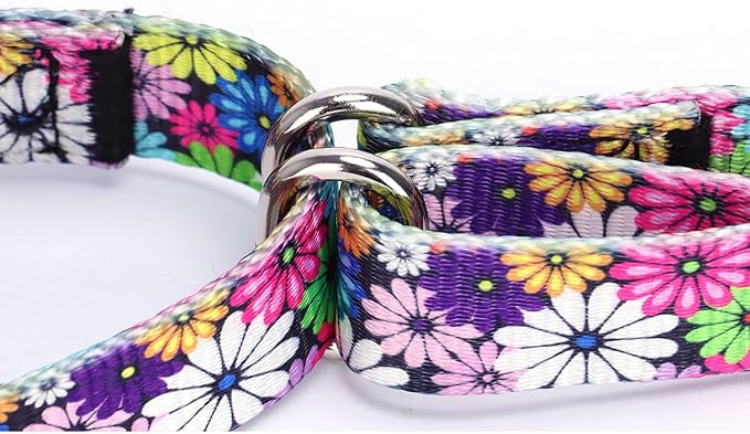 Serijoars Adjustable Martingale Dog Collar Heavy Duty Nylon Dog Collar for Medium Large Dogs Walking Training Boy and Girl Dogs (M, Blue Flowers)