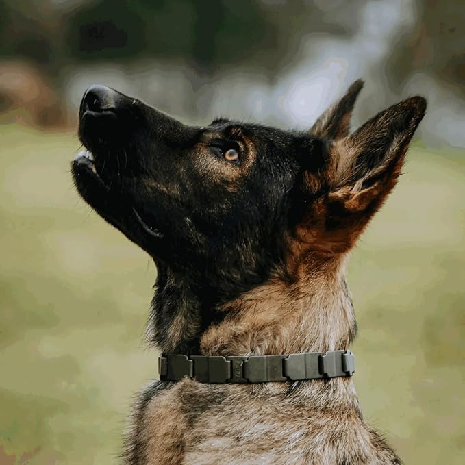 Herm Sprenger NeckTech Sport Dog Training Prong Collar with ClicLock Buckle on The Side No-Pull Collar with Swivel D-Ring Made in Germany (Black Stainless Steel, 23in (Neck Size up to 20in))