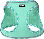 AMTOR Small Dog Harness with Leash Set, No Escape Easy Walk Puppy Harnesses for Training Walking, Step-in Reflective Soft Dogs Vest for XS S Medium Extra-Small Large Sized Dog(Green,XXS)