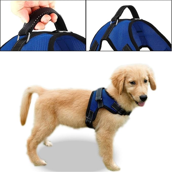 No Pull Reflective Adjustable Dog Harness with Handle- Comfortable Soft All Weather Mesh, Easy On Puppy Harness for Small Medium and Large Dogs (Blue) Large