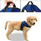 No Pull Reflective Adjustable Dog Harness With Handle- Comfortable Soft All Weather Mesh, Easy On Puppy Harness For Small Medium and Large Dogs (Blue) X-Small
