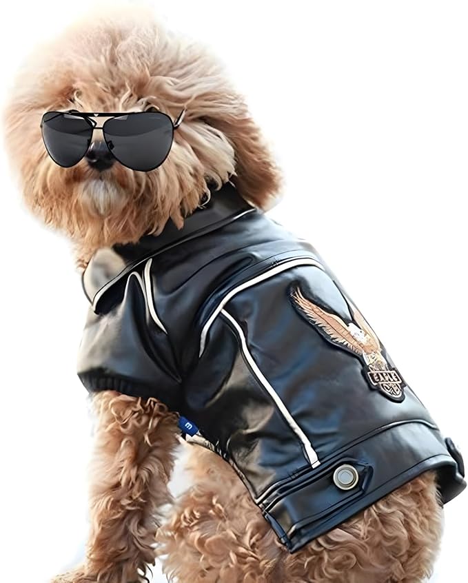 Dog Leather Jacket - Cute Leather Dog Jackets Motorcycle Clothes with Buttons Pet Waterproof Winter Coat for Small Medium Dogs(Black, 2XL)