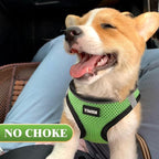 YIMEIS Dog Harness and Leash Set, No Pull Soft Mesh Pet Harness, Reflective Adjustable Puppy Vest for Small Medium Large Dogs, Cats (Grass Green, Small (Pack of 1)