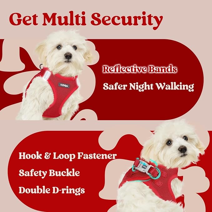 rabbitgoo Small Dog Harness, Step-in Soft Mesh Puppy Vest with Safety Buckle, Breathable Reflective Pet Harness for Small Medium Dogs, Red XL