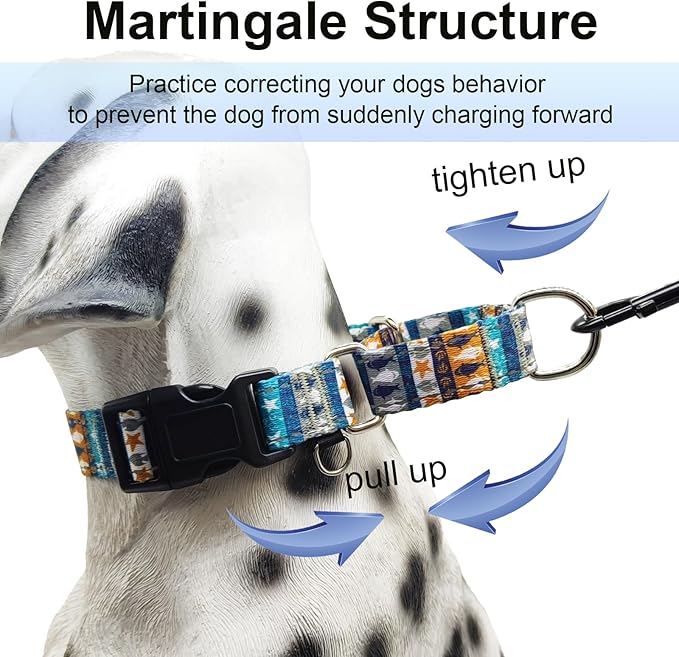 Reflective Martingale Collar with Buckle Shark Starfish Ethnic Stripe Adjustable Designer Dog Collars (Underwater World, Large)