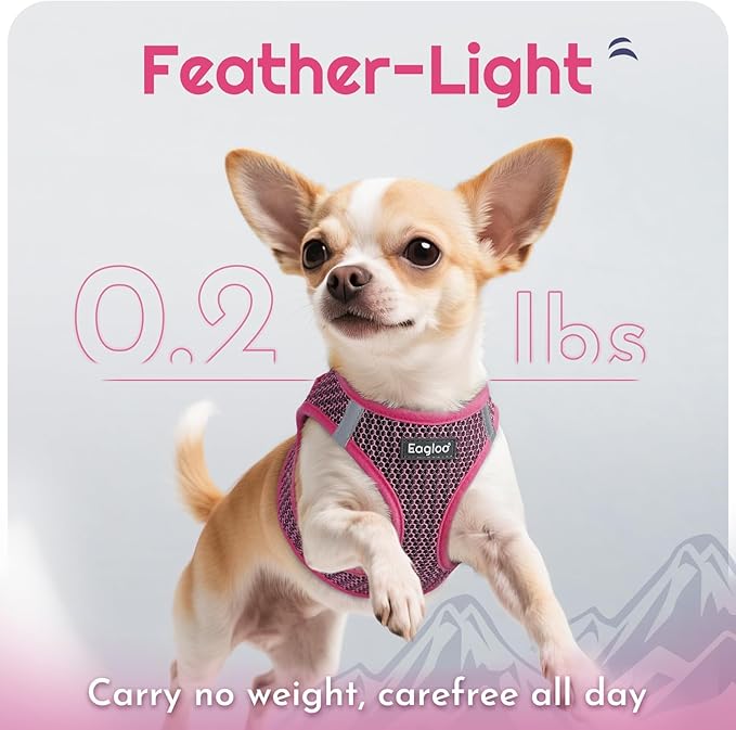 Eagloo Small Dog Harness and Leash Set, Step in Puppy Vest with Breathable Soft Mesh, Walking Reflective Pet Harness for Medium Small Dogs, Rose Red, L