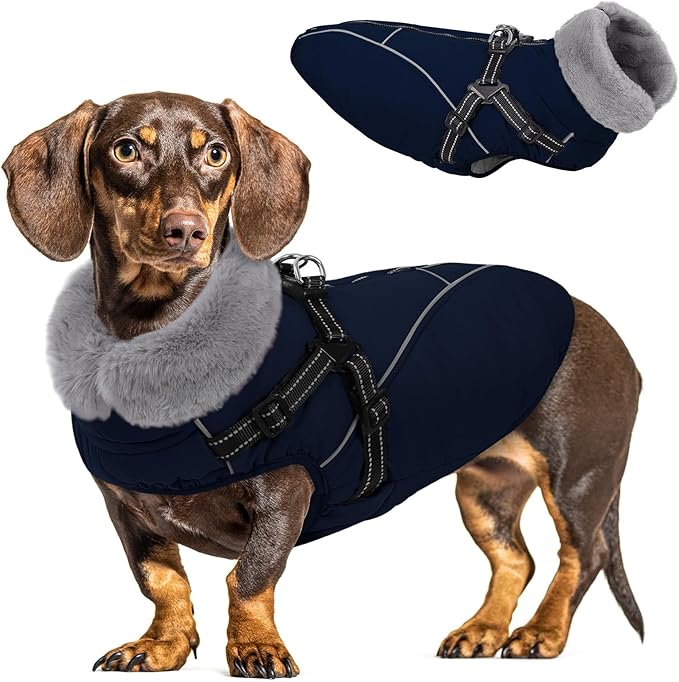 Queenmore Dog Jackets for Large Dogs, Dog Coat with Harness Built in,Waterproof Dogs Coats with Zipper On Back,Warm Fleece Lining Cold Weather Pet Coats with Furry Collar for Labrador,NavyBlue,L