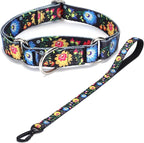 Martingale Collar and Leash Set, Premium No Slip Martingale Collar for Dogs Medium Large, Girl Dog Collars Training (NO20, L)