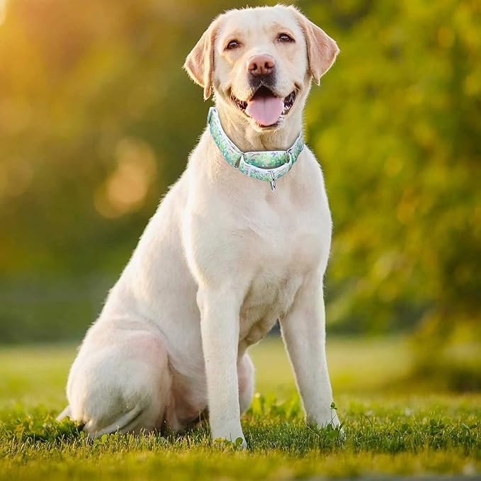 Serijoars Adjustable Martingale Dog Collar Heavy Duty Nylon Dog Collar for Medium Large Dogs Walking Training Boy and Girl Dogs (M, Grass Flowers)