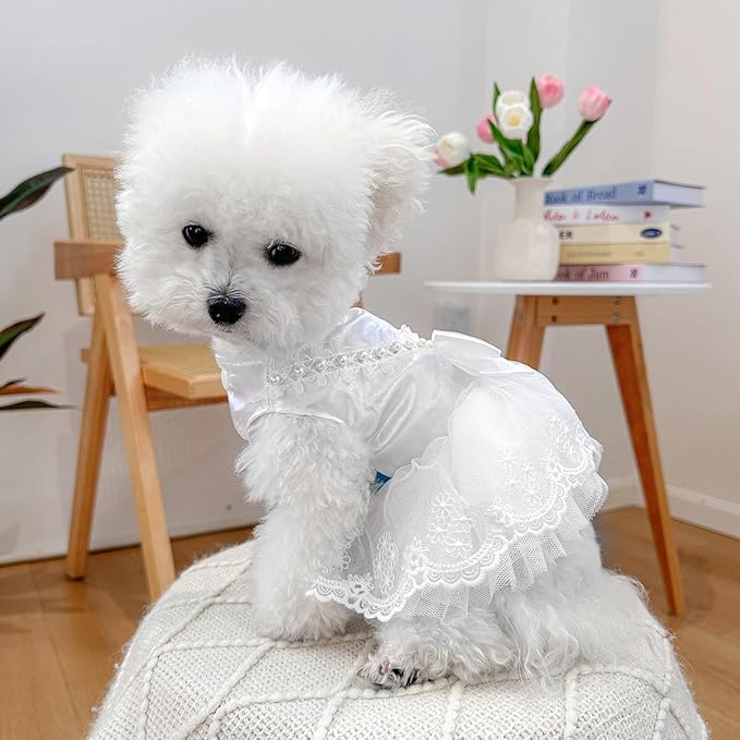 Fashion Sweet Puppy Dog Blingbling Princess Skirt Pet Dog Lace Cake Camisole Tutu Dress D-White XS