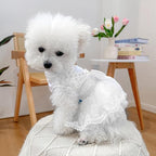 Fashion Sweet Puppy Dog Blingbling Princess Skirt Pet Dog Lace Cake Camisole Tutu Dress D-White S