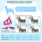 SlowTon No Pull Small Dog Harness and Leash Set, Puppy Soft Vest Harness Neck & Chest Adjustable, Reflective Lightweight Harness & Anti-Twist Pet Lead Combo for Small Medium Dogs (Fuchsia, S)