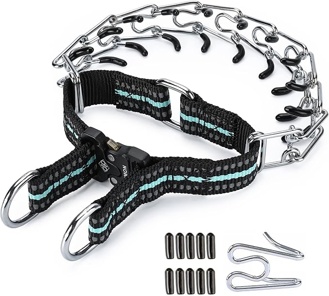 Pinch Collar for Dogs Adjustable Dog Training Collar with Comfortable Rubber Tip and Quick Release Buckle for Small Medium Large Dogs (Medium, Teal)