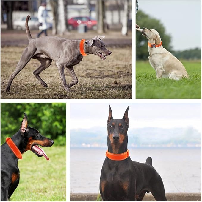 Tactical Dog Collar with Heavy Duty Metal Buckle and Control Handle for Medium Large Dogs Training(Orange, Medium)