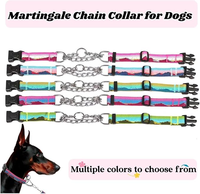 Martingale Dog Collars with Stainless Steel Chain, Reflective No Pull Walking Training Collar with Quick Release Buckle, Adjustable Slip Chain Nylon Dog Collars for Small Medium Large Dogs