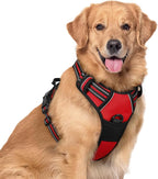 rabbitgoo Dog Harness No Pull with 2 Leash Clips, Adjustable Soft Padded, Reflective Oxford No Choke Pet Vest with Easy Control Handle for Large Dogs, Red, XL