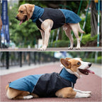 Windproof Dog Winter Jackets - Outdoor Coats for Cold Weather, Waterproof Raincoats with Leash Hole, Black, Blue S