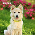 Martingale Collar for Dogs with Buckle No Pull Adjustable Nylon Limited Slip Training Dog Collars (Yellow Bee, Small)