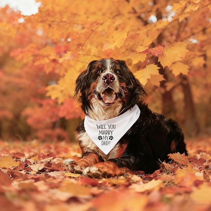Will You Marry My Dad Pet Dog Bandana, Engagement Announcement Dog Wedding Scarf Accessories for Small Medium Large Dogs