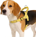 PUPTECK No Pull Dog Harness Small Sized Dog, Adjustable Reflective Pet Vest Harness with Bungee Handle, Escape Proof No Choke Harness for Small Dogs Walking Training, Yellow Bee M