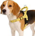 PUPTECK No Pull Dog Harness Small Sized Dog, Adjustable Reflective Pet Vest Harness with Bungee Handle, Escape Proof No Choke Harness for Small Dogs Walking Training, Yellow Bee M