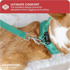 Downtown Pet Supply Step in Dog Harness No Pull, X-Large, Bermuda Blue - Adjustable Harness with Padded Mesh Fabric and Reflective Trim - Buckle Strap Harness for Dogs