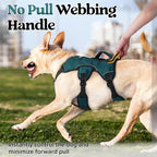 rabbitgoo Escape Proof Dog Harness, Soft Padded Full Body Pet Harness, Reflective Adjustable No Pull Vest with Lift Handle and Leash Clip for Large Dogs Walking Hiking Training, Dark Green, L