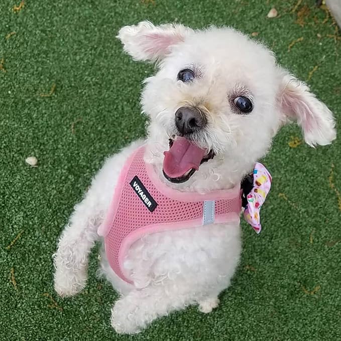 Best Pet Supplies Voyager Step-in Air All Weather Mesh Harness and Reflective Dog 5 ft Leash Combo with Neoprene Handle, for Small, Medium and Large Breed Puppies - Harness Leash Set (Pink), XXXS