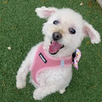 Best Pet Supplies Voyager Step-in Air All Weather Mesh Harness and Reflective Dog 5 ft Leash Combo with Neoprene Handle, for Small, Medium and Large Breed Puppies - Harness Leash Set (Pink), M