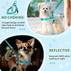 SlowTon No Pull Small Dog Harness and Leash Set, Puppy Soft Vest Harness Neck & Chest Adjustable, Reflective Lightweight Harness & Anti-Twist Pet Lead Combo for Small Medium Dogs(BL-Front Clip,XXS)