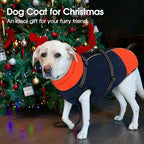 SUNFURA Large Dog Coat with Harness Built in, Warm Dog Jacket Waterproof Pet Winter Coat Snowsuit for Cold Weather, Reflective Fleece Jacket for Large Dogs, Border Collie, Blue XL