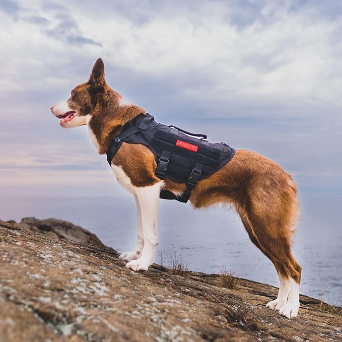 OneTigris No Pull Tactical Dog Harness for Medium Dog, Aire Mesh Dog Vest Harness, Breathable Military Dogs Molle Vests with Handles, Service Dogs Vest for Walking Hiking Training (M, Black)