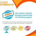 Nylabone Ring Bone Chew Toy for Puppies, Puppy Teething Toys, Puppy Enrichment Toys, Chicken Flavor, X-Small Dogs - Up to 15 lbs, 2 Pack